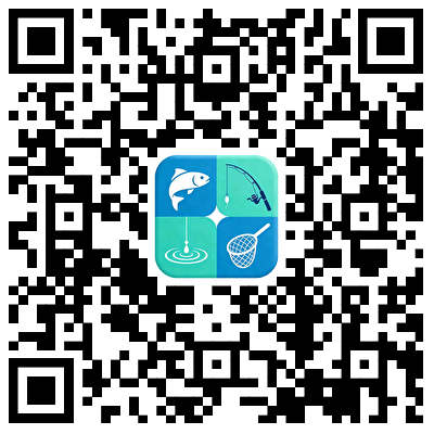 安卓下载二维码