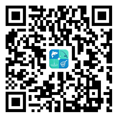 苹果下载二维码